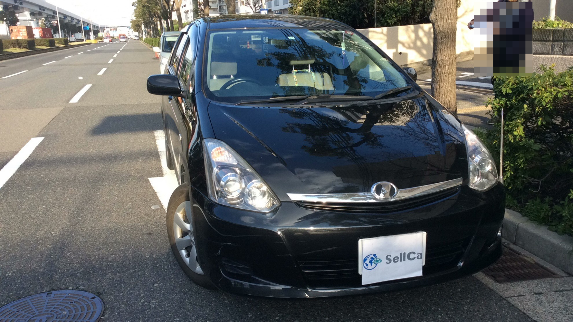 トヨタ ウィッシュの売買実績画像