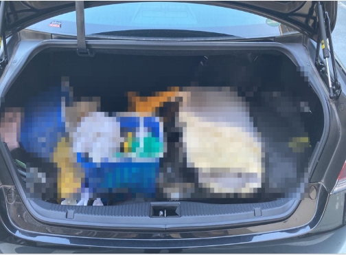 内装トランク