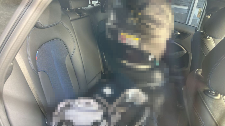 内装後方シート