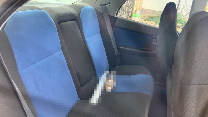 内装後方シート