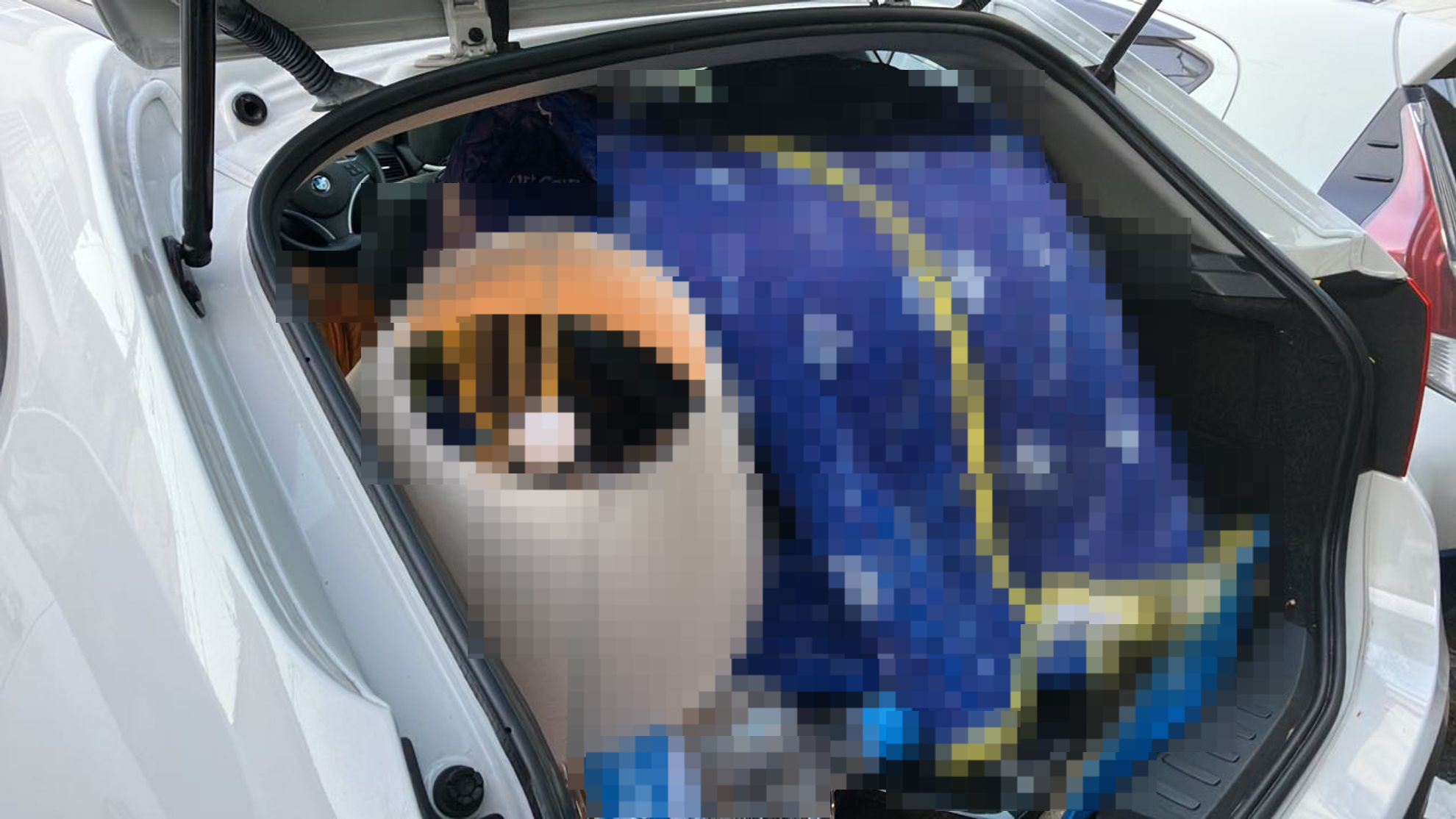 内装トランク
