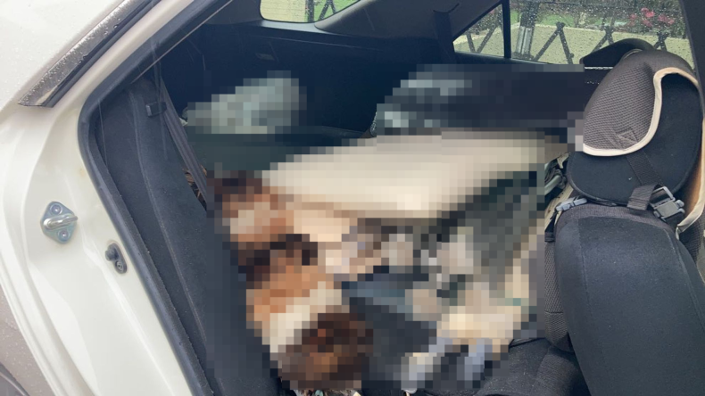 内装後方シート