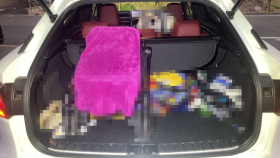 内装トランク