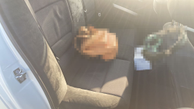 内装後方シート