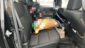 内装後方シート