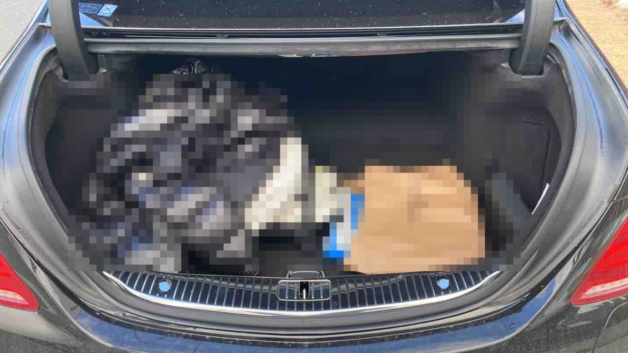 内装トランク