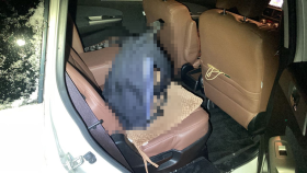 内装後方シート