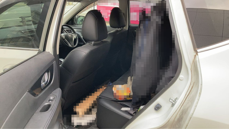 内装後方シート