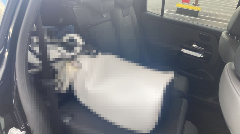 内装後方シート