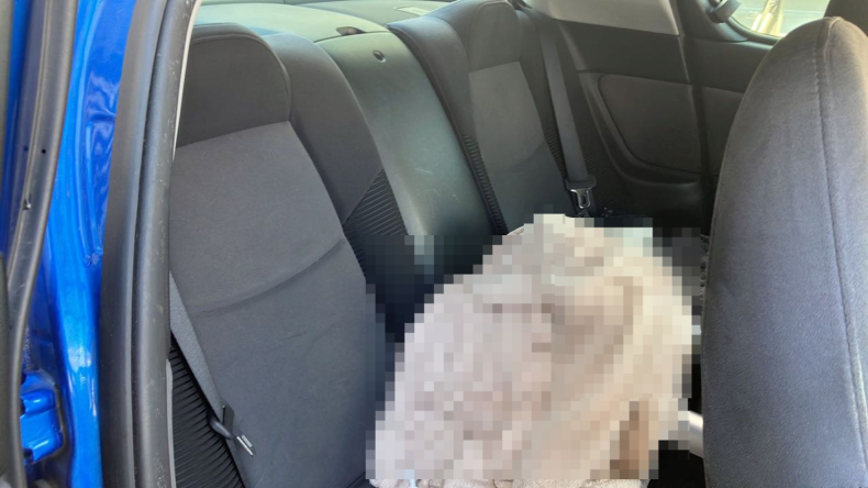 内装後方シート