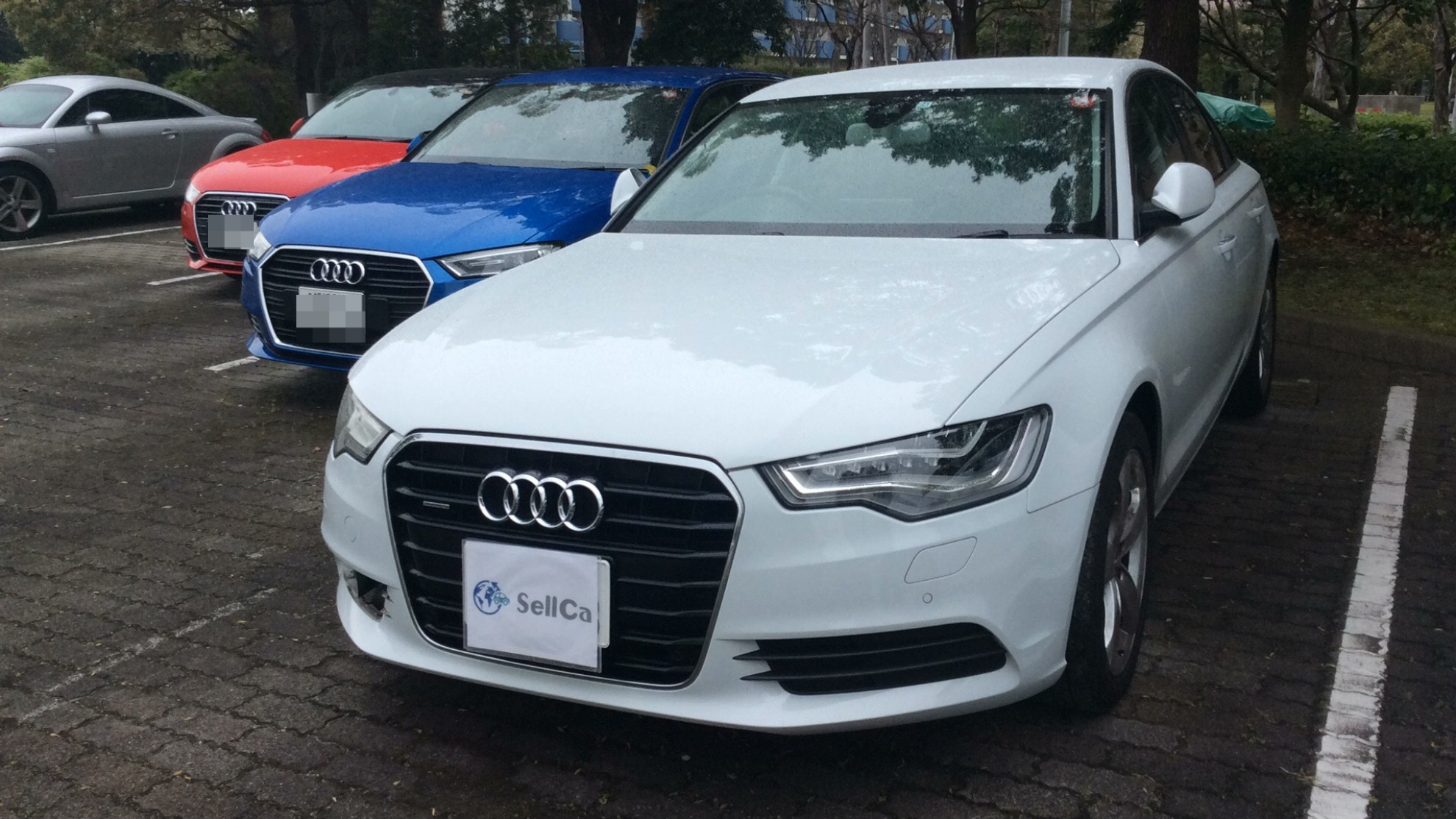 アウディ Ａ６の売買実績画像