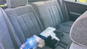 内装後方シート