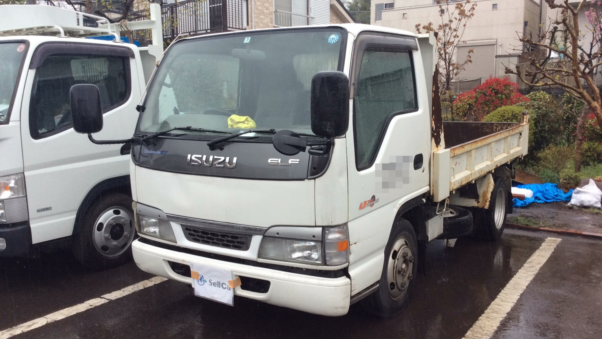 いすゞ エルフトラックの売買実績画像
