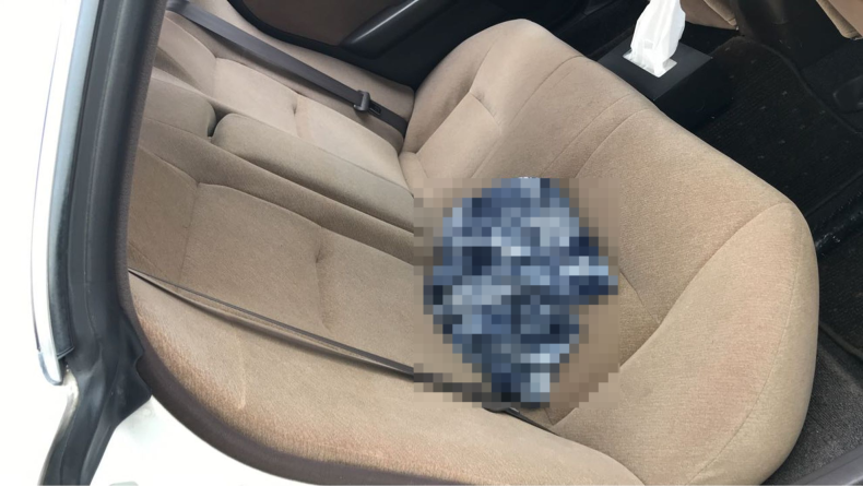 内装後方シート