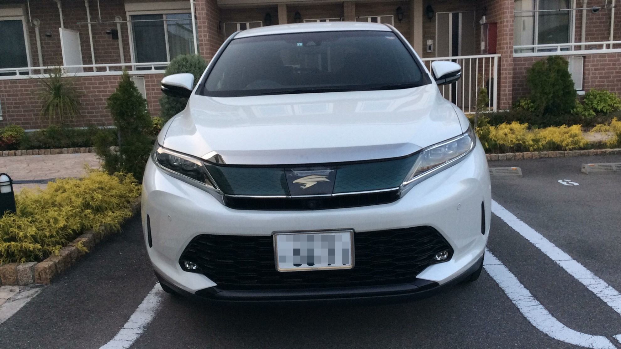 外装前方