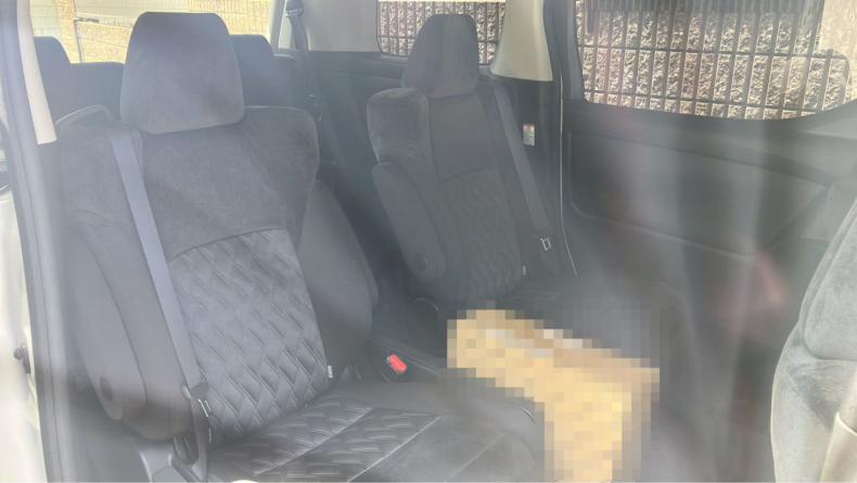 内装後方シート