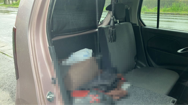 内装後方シート