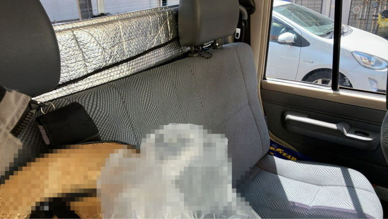 内装後方シート