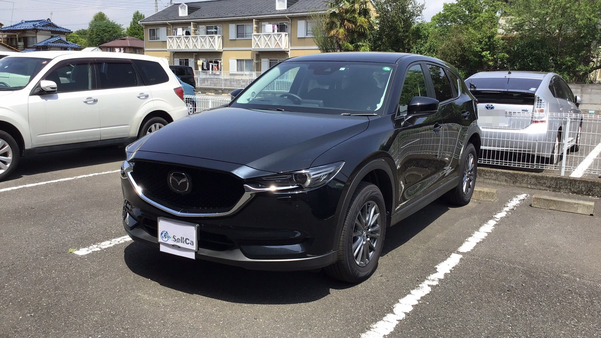 マツダ ＣＸ－５の売買実績画像