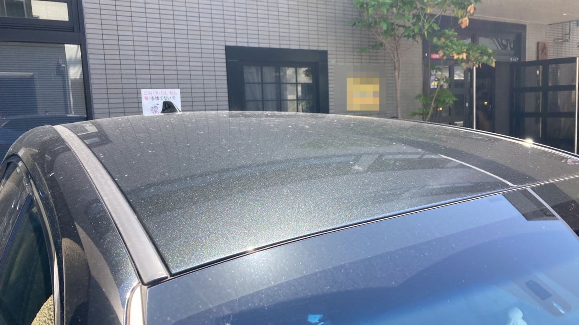 正面ルーフ