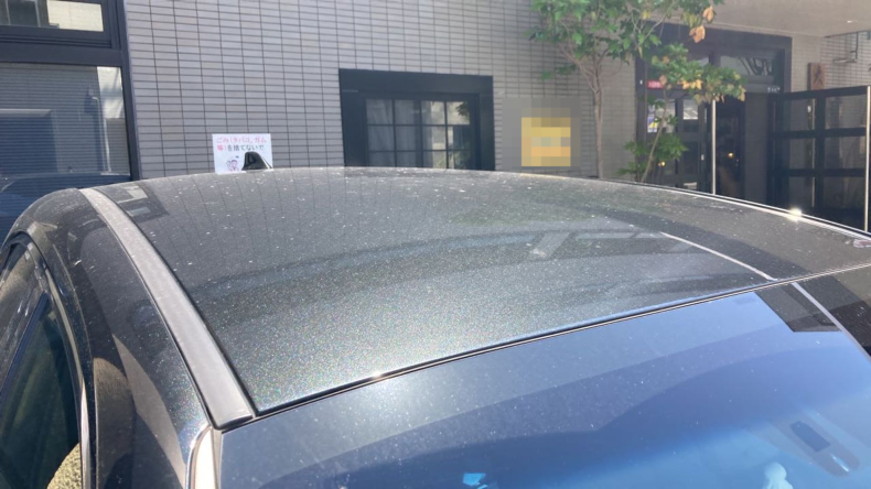 正面ルーフ