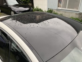 正面ルーフ