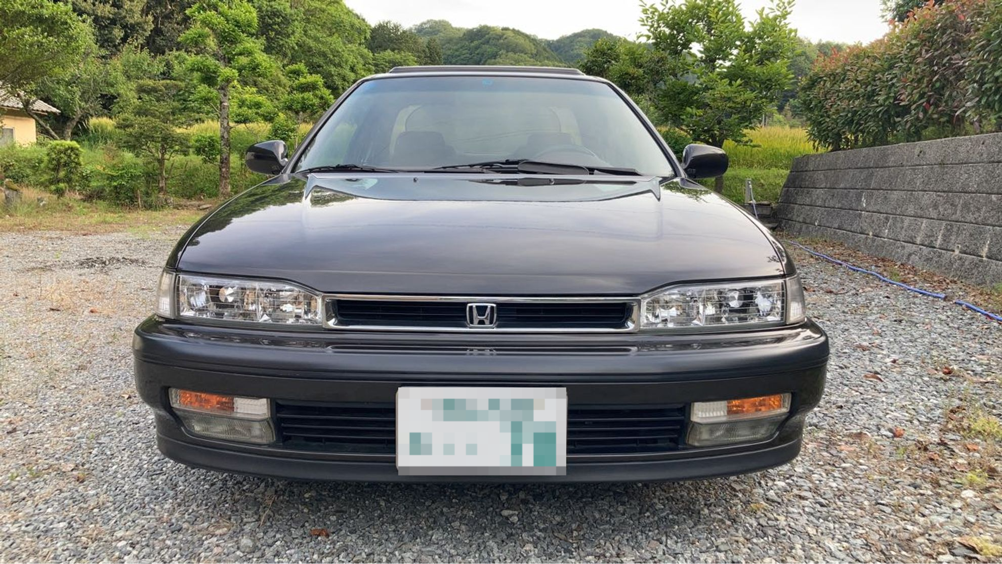 外装前方