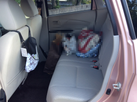 内装後方シート