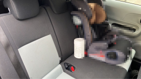 内装後方シート