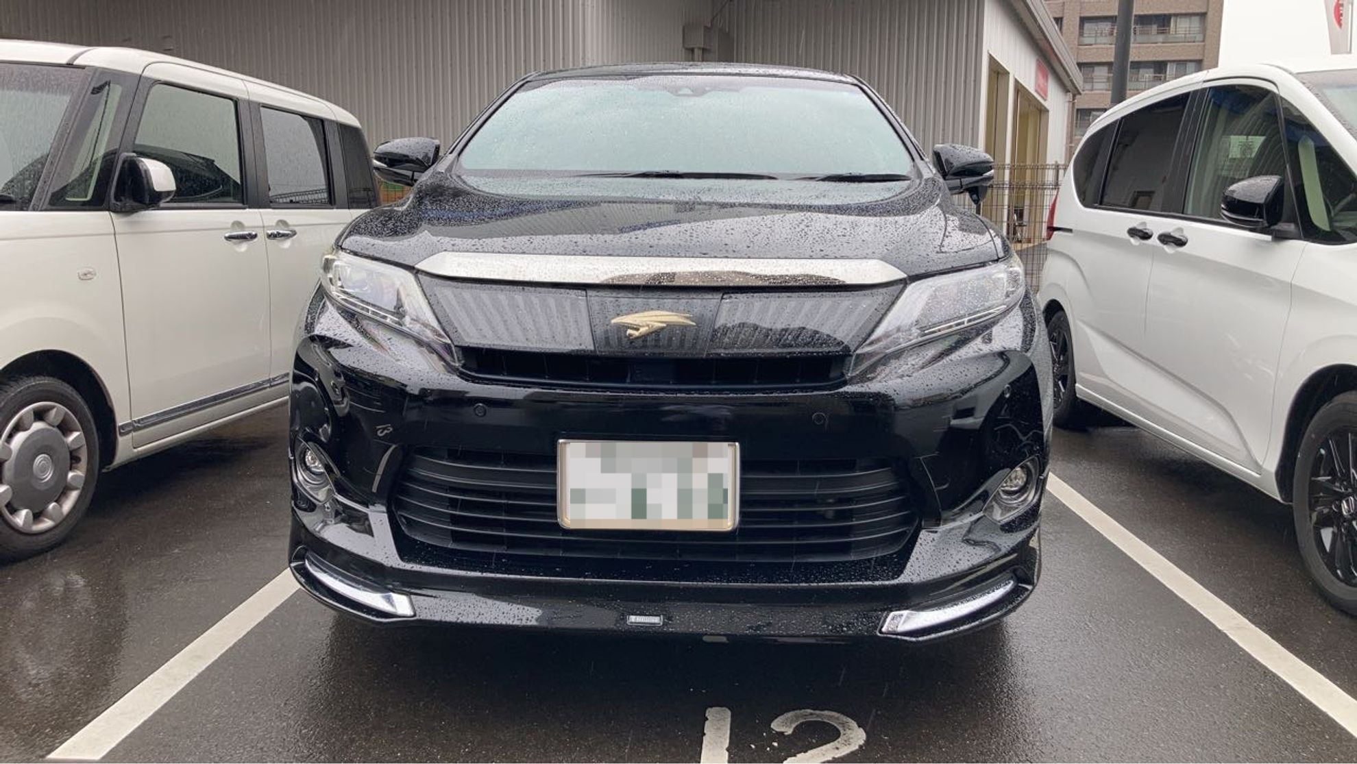 外装前方