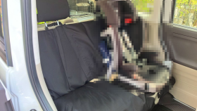 内装後方シート