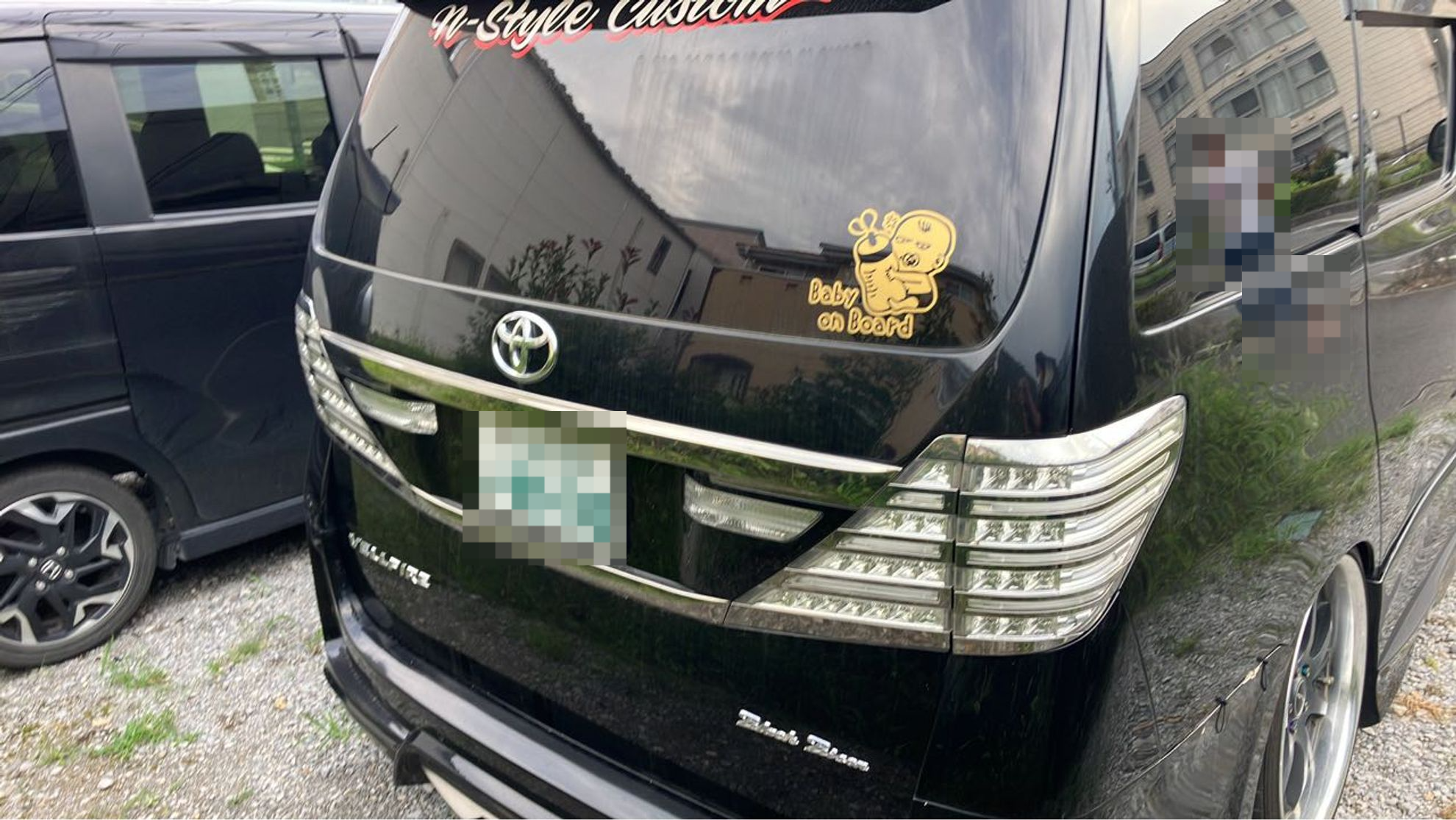 ご注文品　ブライトウェル　準大苗　×2 ご注文品 ブライトウェル 準大苗 ×2