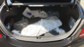 内装トランク
