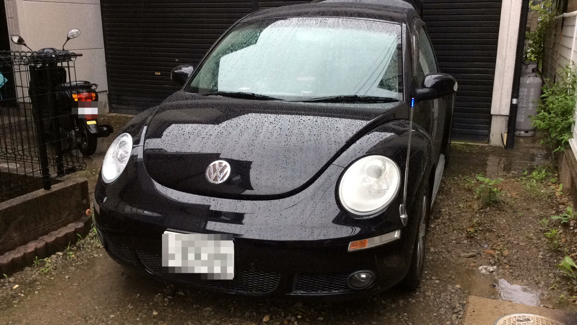 フォルクスワーゲン ニュービートルの売買実績画像