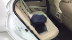 内装後方シート