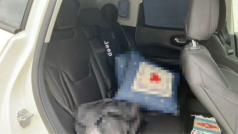 内装後方シート