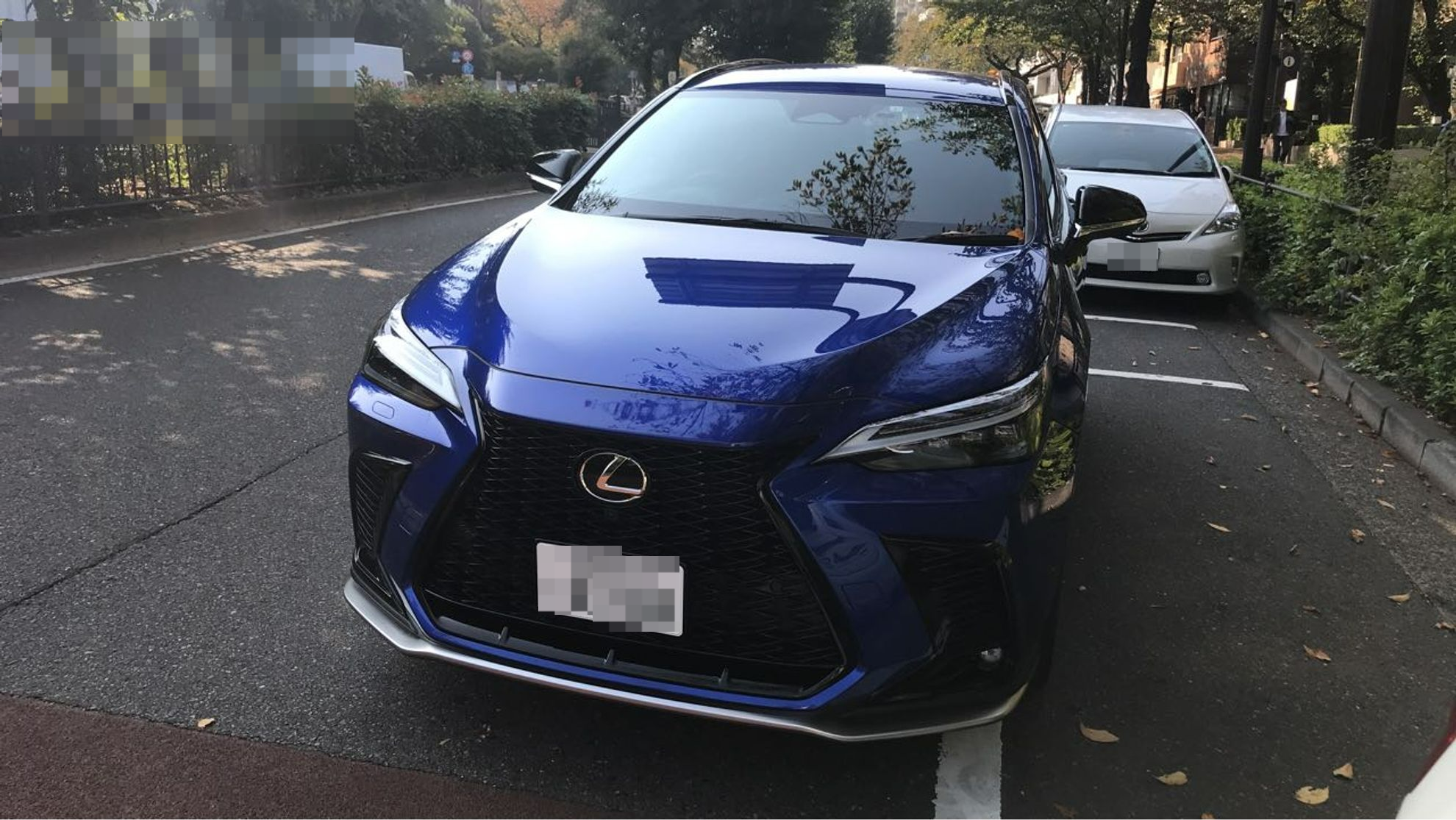 レクサス ＮＸの売買実績画像