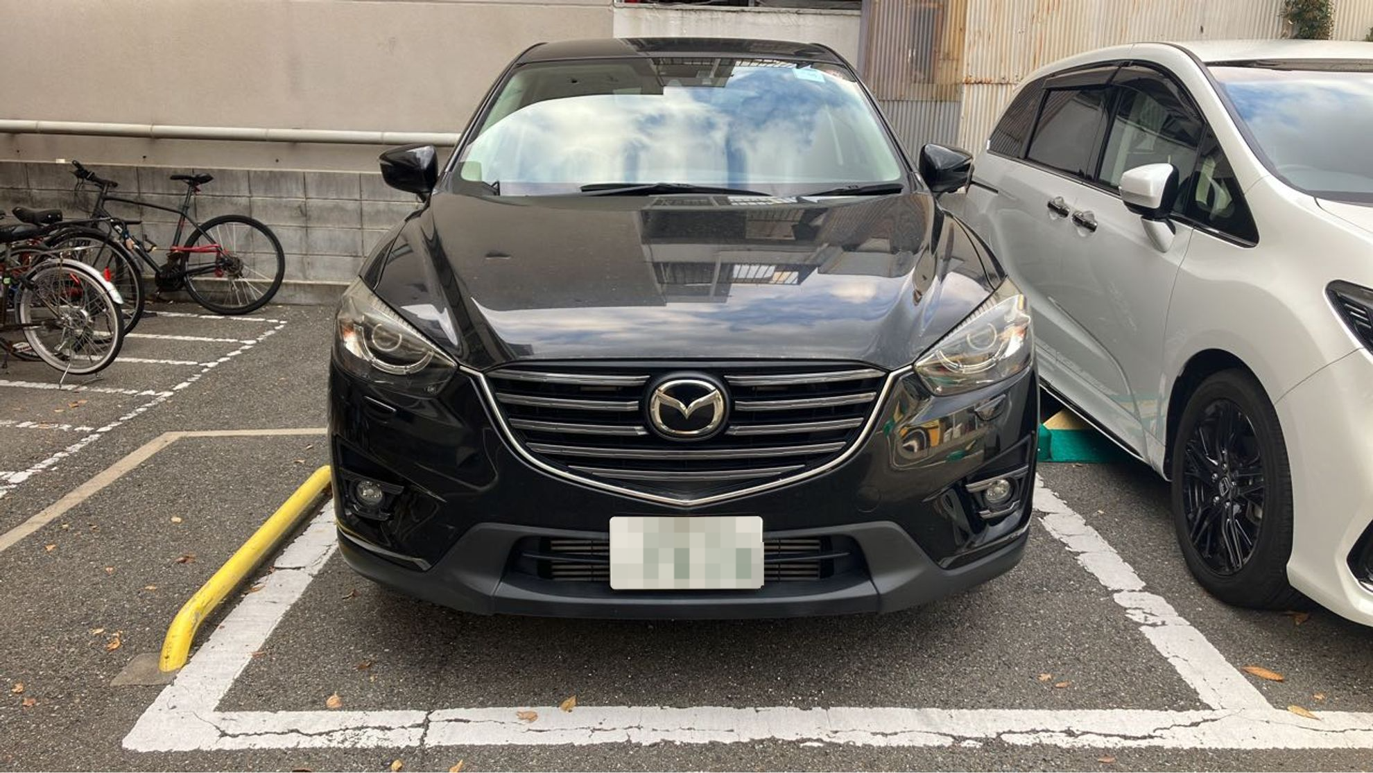 外装前方