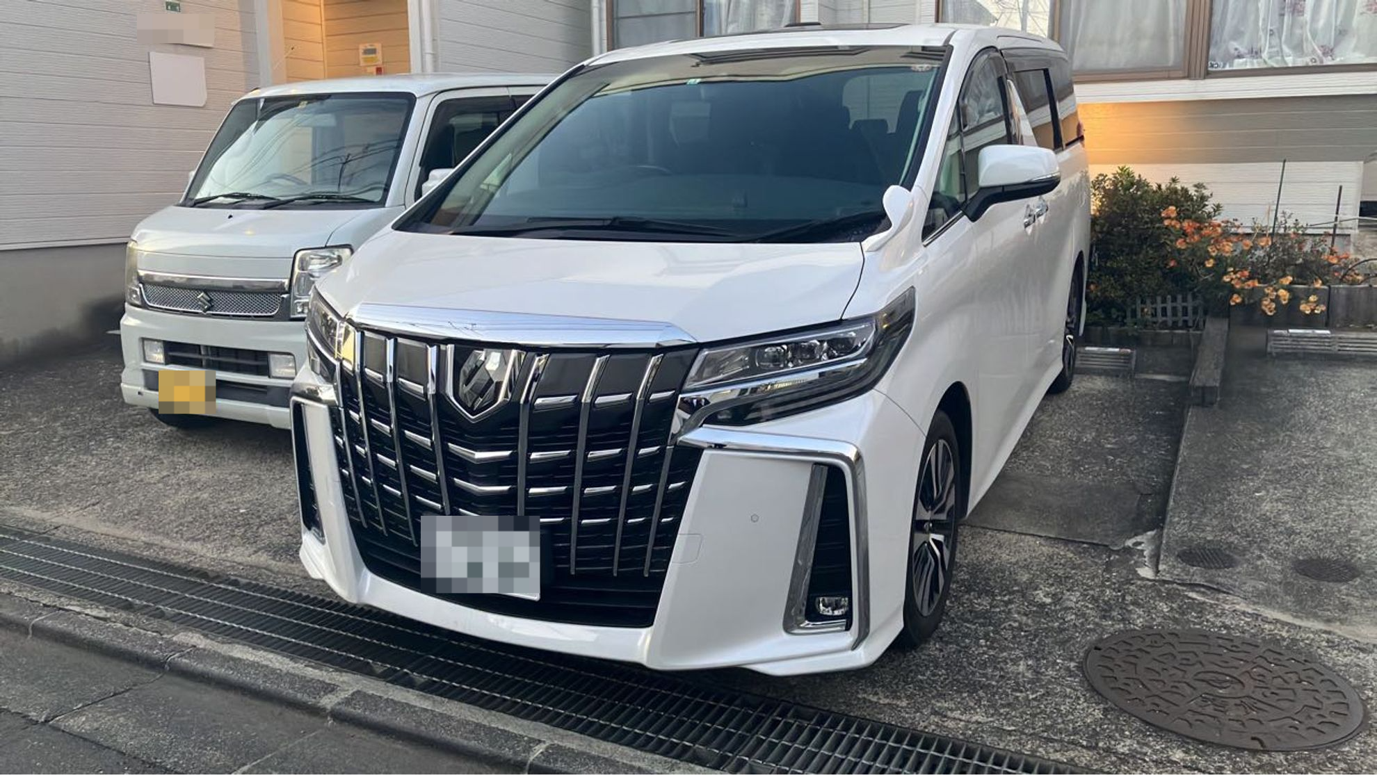 車種画像
