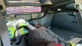 内装後方シート