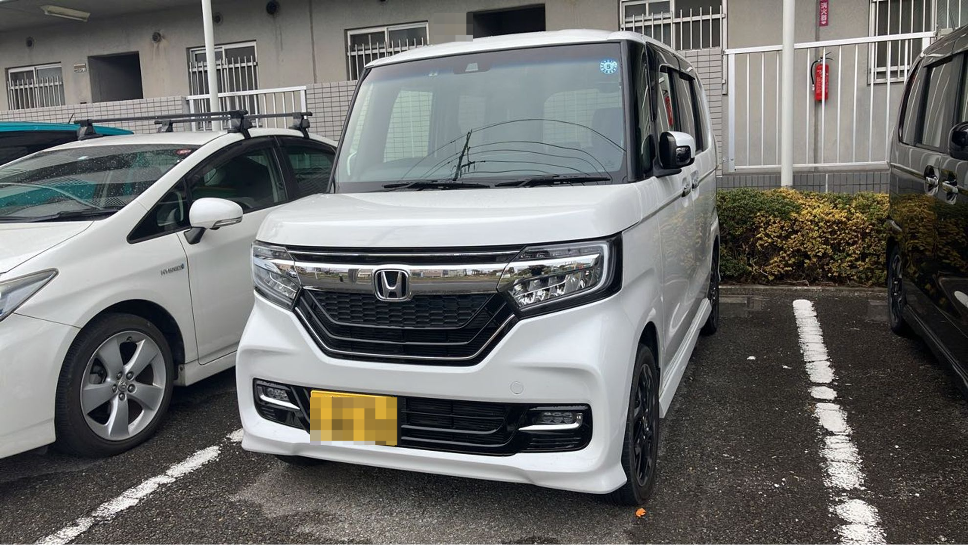 メイン画像