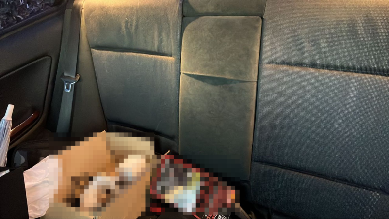 内装後方シート