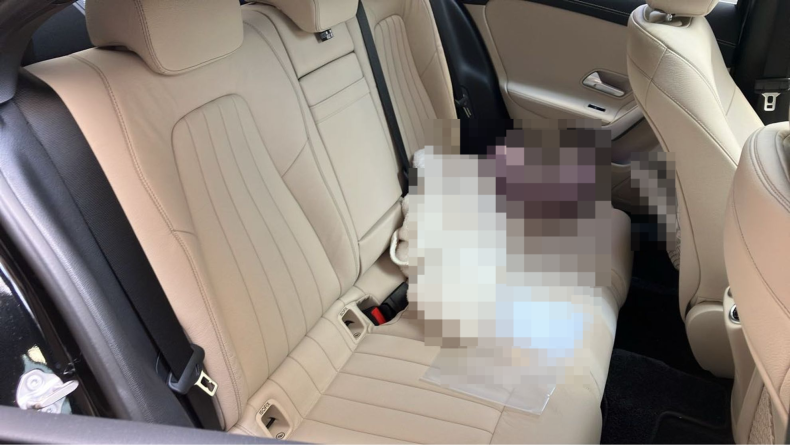 内装後方シート