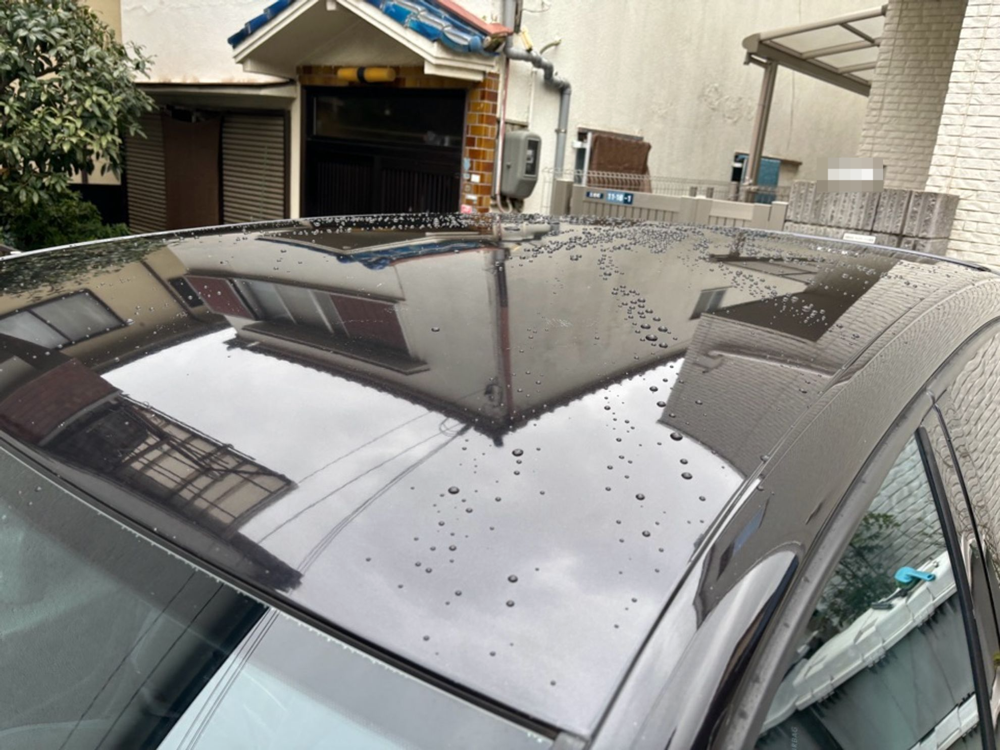 正面ルーフ