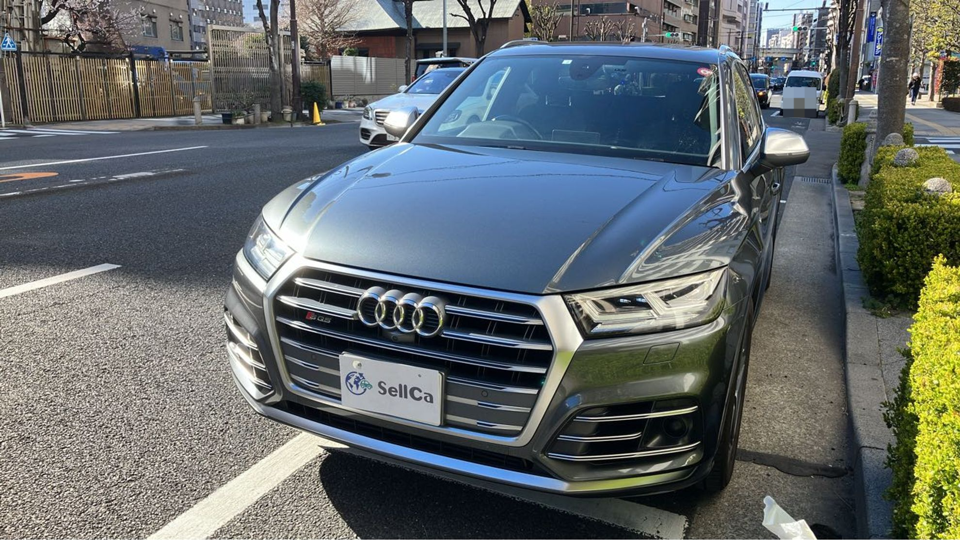 アウディ ＳＱ５の売買実績画像