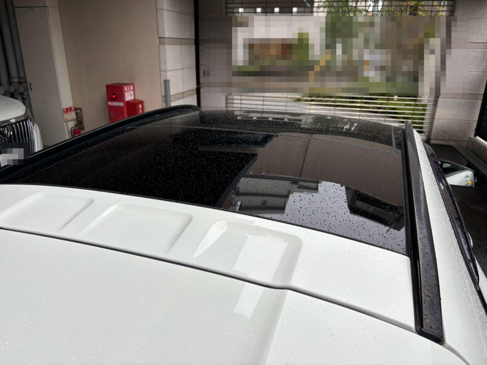 正面ルーフ