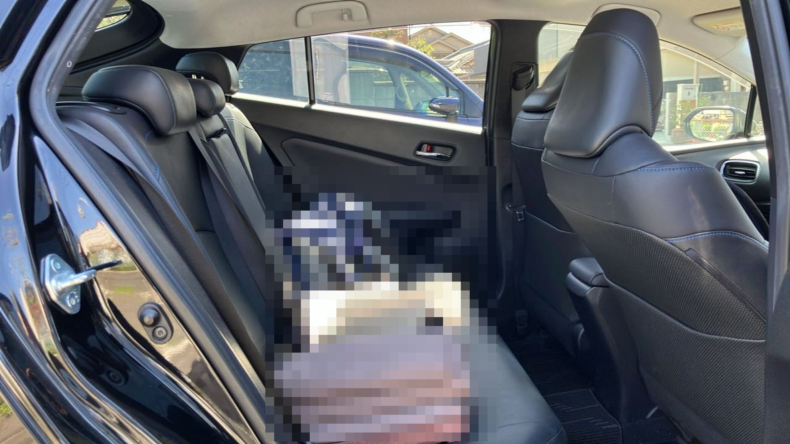 内装後方シート