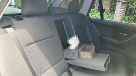 内装後方シート