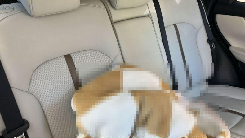 内装後方シート