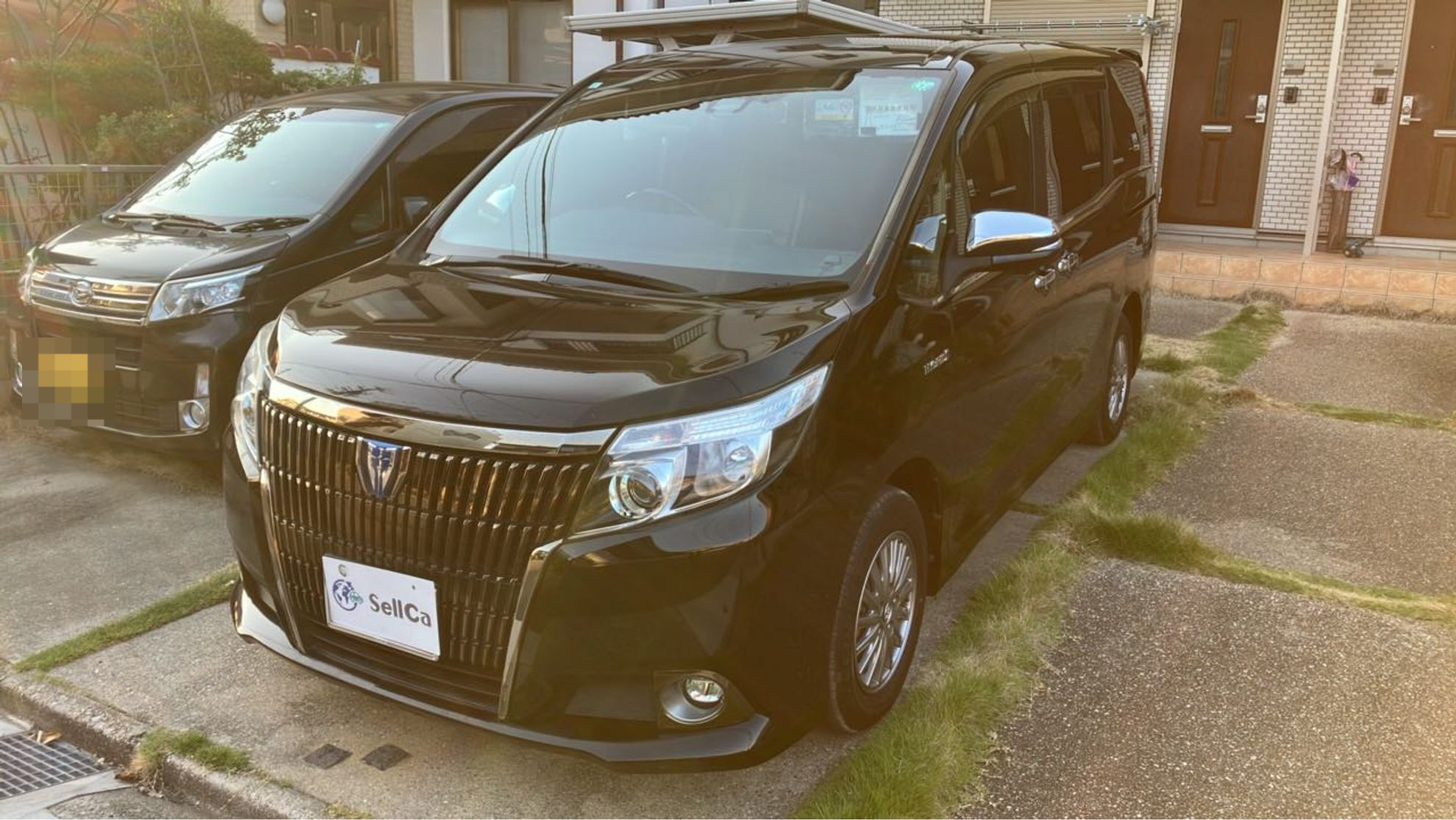 車種画像